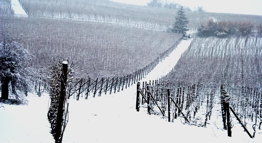 Cascina Arcangelo Raffaele Verduno Экстерьер фото