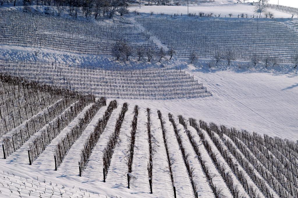 Cascina Arcangelo Raffaele Verduno Экстерьер фото
